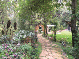 The Mountain Gardener: How to add interest with a path