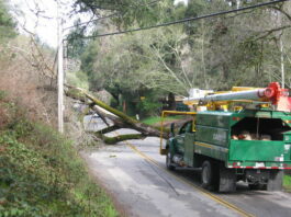 Downed trees block Highway 9; Lockhart Gulch