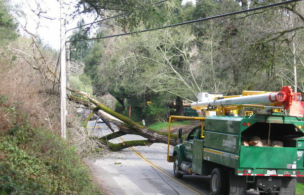 Downed trees block Highway 9; Lockhart Gulch