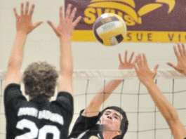 Volleyball team finds success with seniors
