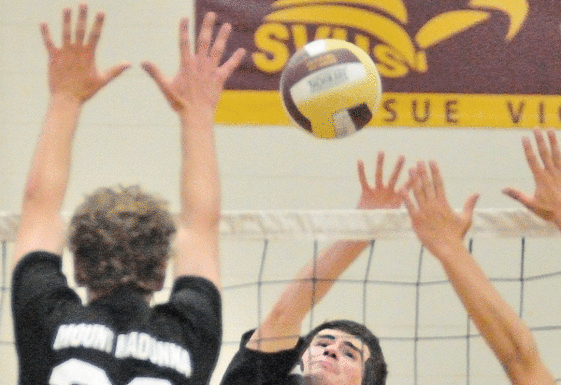 Volleyball team finds success with seniors