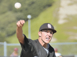 Future is bright for Cougars, Falcons JV baseball