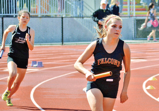 Cougar, Falcon runners gear up for CCS