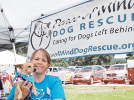 Nonprofit Looks After Dogs Left Behind