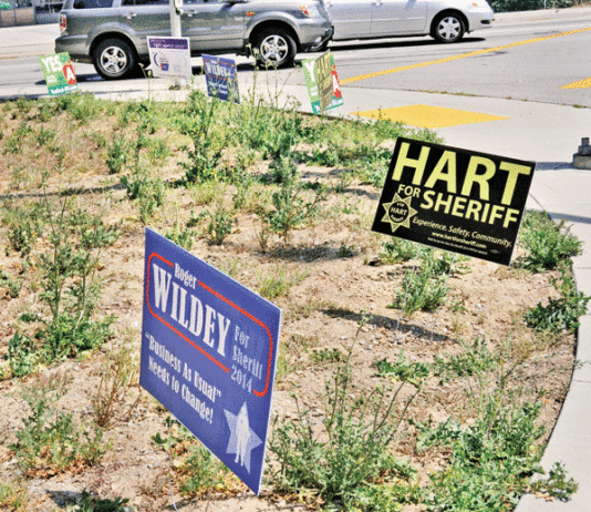 Local campaigns bear down as Election Day nears