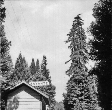 Guest column: Gibbs Ranch Resort and Zayante’s lost post office
