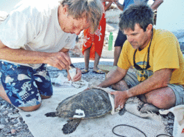 Nature Friendly: UCSC professor teaches science with reptiles and amphibians