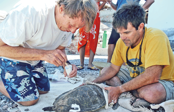 Nature Friendly: UCSC professor teaches science with reptiles and amphibians