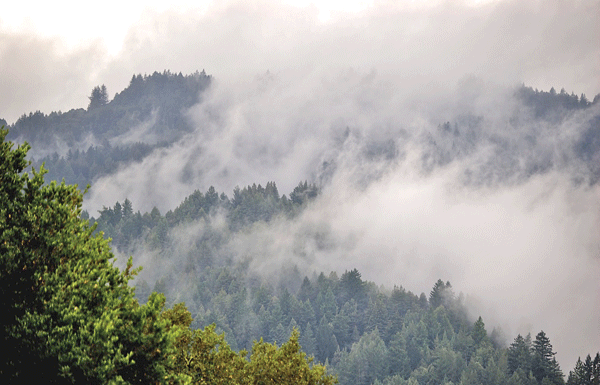 The Mountain Gardener: How weather affects our lives