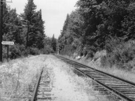 Guest column: Meehan Siding, a forgotten piece of Zayante’s history