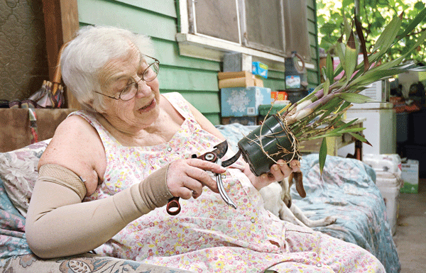 Valley People: From Switzerland to Scotts Valley, gardens green for Schweizer family