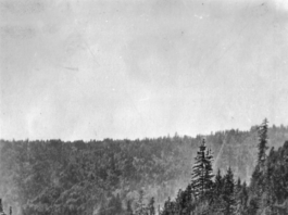 Santa Cruz Trains: Inspiration Point, or the legend of Coon Gulch