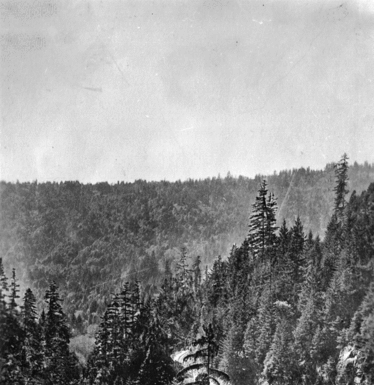 Santa Cruz Trains: Inspiration Point, or the legend of Coon Gulch