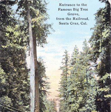 Santa Cruz Trains: Big Trees Station, two resorts for the price of one stop