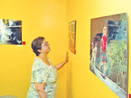 Scotts Valley library displays local artwork of California