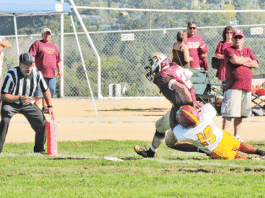 Falcons stumble against Los Banos; set to face Texas team Friday