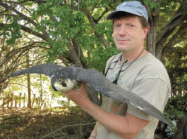 Nature Friendly: UCSC professor, museum curator to lead nature walk