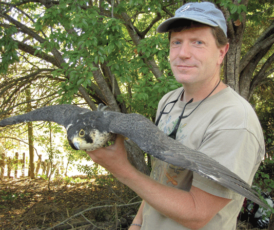 Nature Friendly: UCSC professor, museum curator to lead nature walk