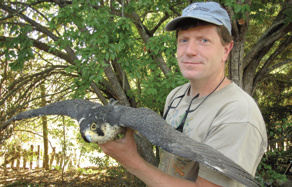 Nature Friendly: UCSC professor, museum curator to lead nature walk