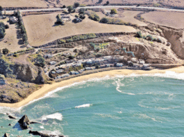 It’s the Law: The beach is back