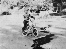 The 1989 Loma Prieta earthquake: 25 years later