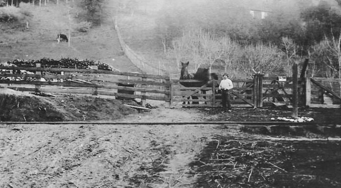 Santa Cruz Trains: Bonny Brae, one hundred years of adventure