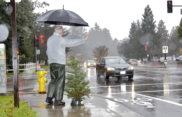 2014 Holiday Guide: SV Educational Foundation’s Christmas tree lot open for business