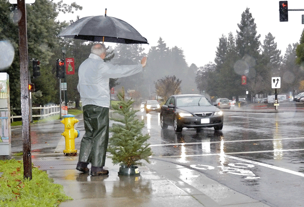 2014 Holiday Guide: SV Educational Foundation’s Christmas tree lot open for business