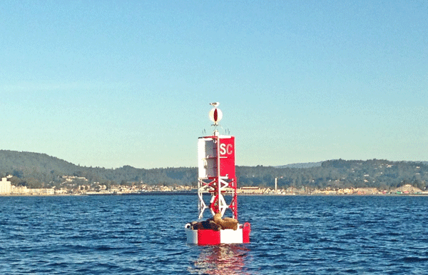 Let’s Go Fishin’: Lighted whistle buoy set to hold anchor
