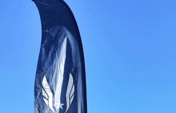 Kain, Anderson excel at national cross country tournament
