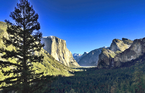 The Mountain Gardener: Yosemite: Fire, water, renewal
