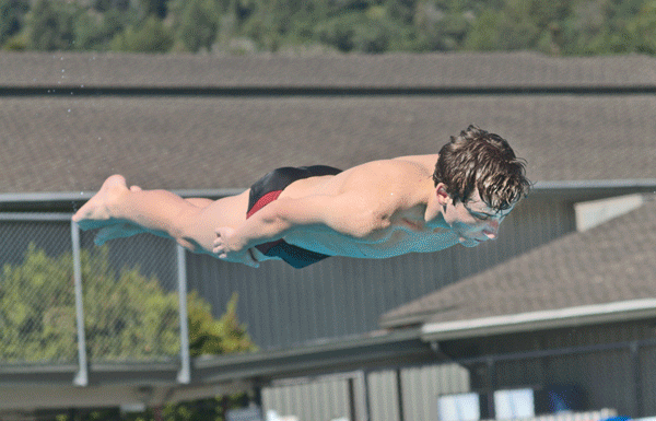 Cougar diver qualifies for CCS