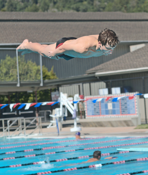 Cougar diver qualifies for CCS