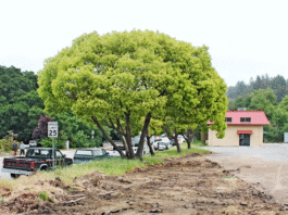 Landscape project to kick off fundraising campaign for Boys and Girls Club