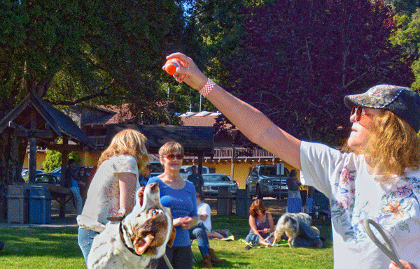 Wine and Wet Noses raises thousands for local animals