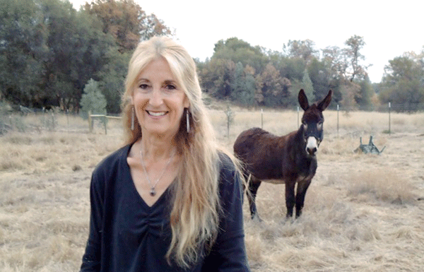 CAPE Animal Film Festival
