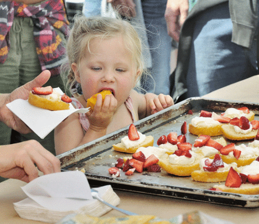 Felton Farmers Market draws new crowds