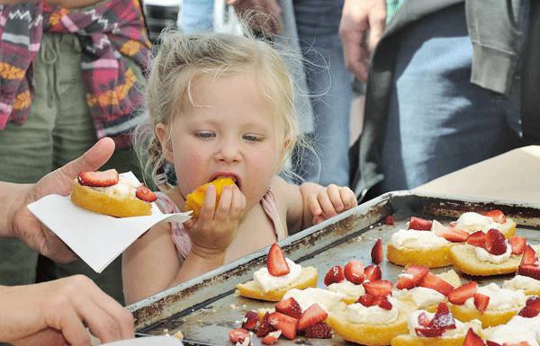 Felton Farmers Market draws new crowds