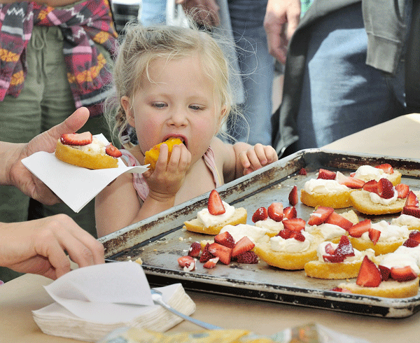 Felton Farmers Market draws new crowds