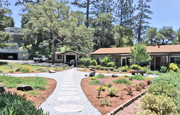 The Mountain Gardener: Lessons from the Garden to Conserve Water