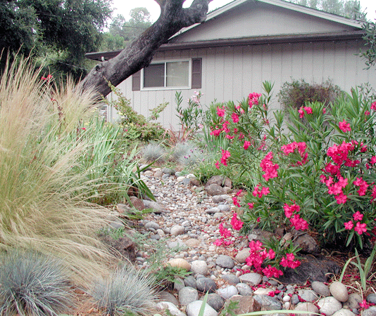 The Mountain Gardener: Dry River Beds – Beautiful and Beneficial