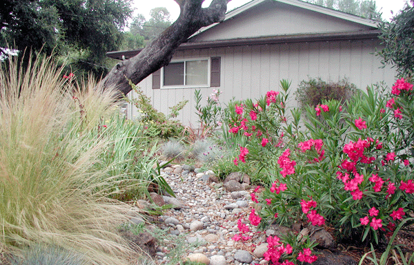 The Mountain Gardener: Dry River Beds – Beautiful and Beneficial