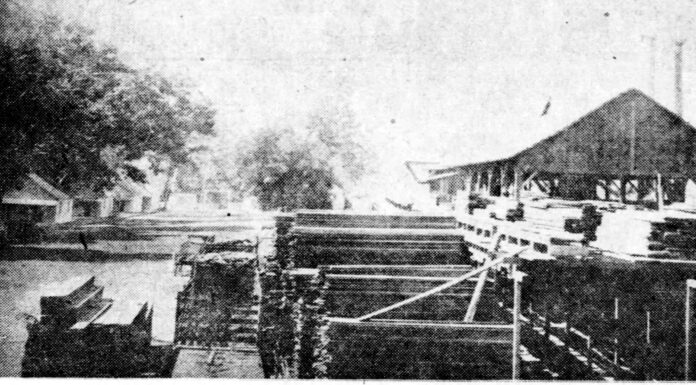 The Dammed River: Mr. Pierce’s Neighborhood