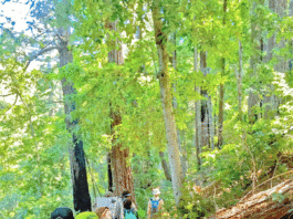 Guided backpacking tours carry local lore and knowledge