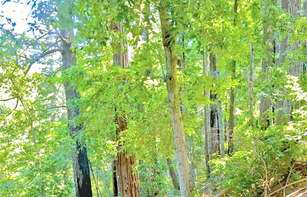 Guided backpacking tours carry local lore and knowledge