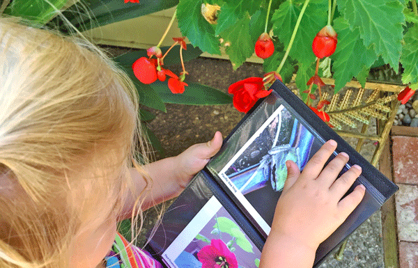 The Mountain Gardener: Gardening with Kids