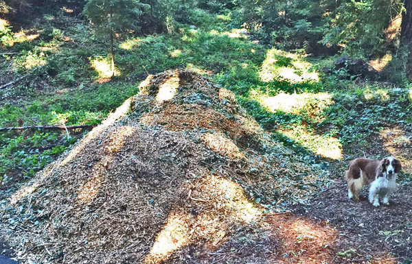 The Mountain Gardener: “Lessons from the Gardens”