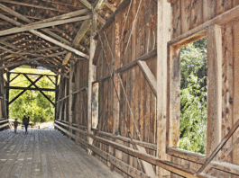 A visit to the Felton Covered Bridge Park