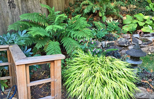 The Mountain Gardener: “The Changing Season of September”