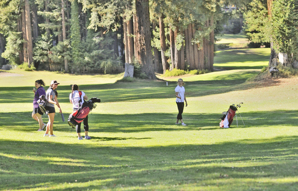Sport Shorts for Scotts Valley High School and San Lorenzo Valley High School